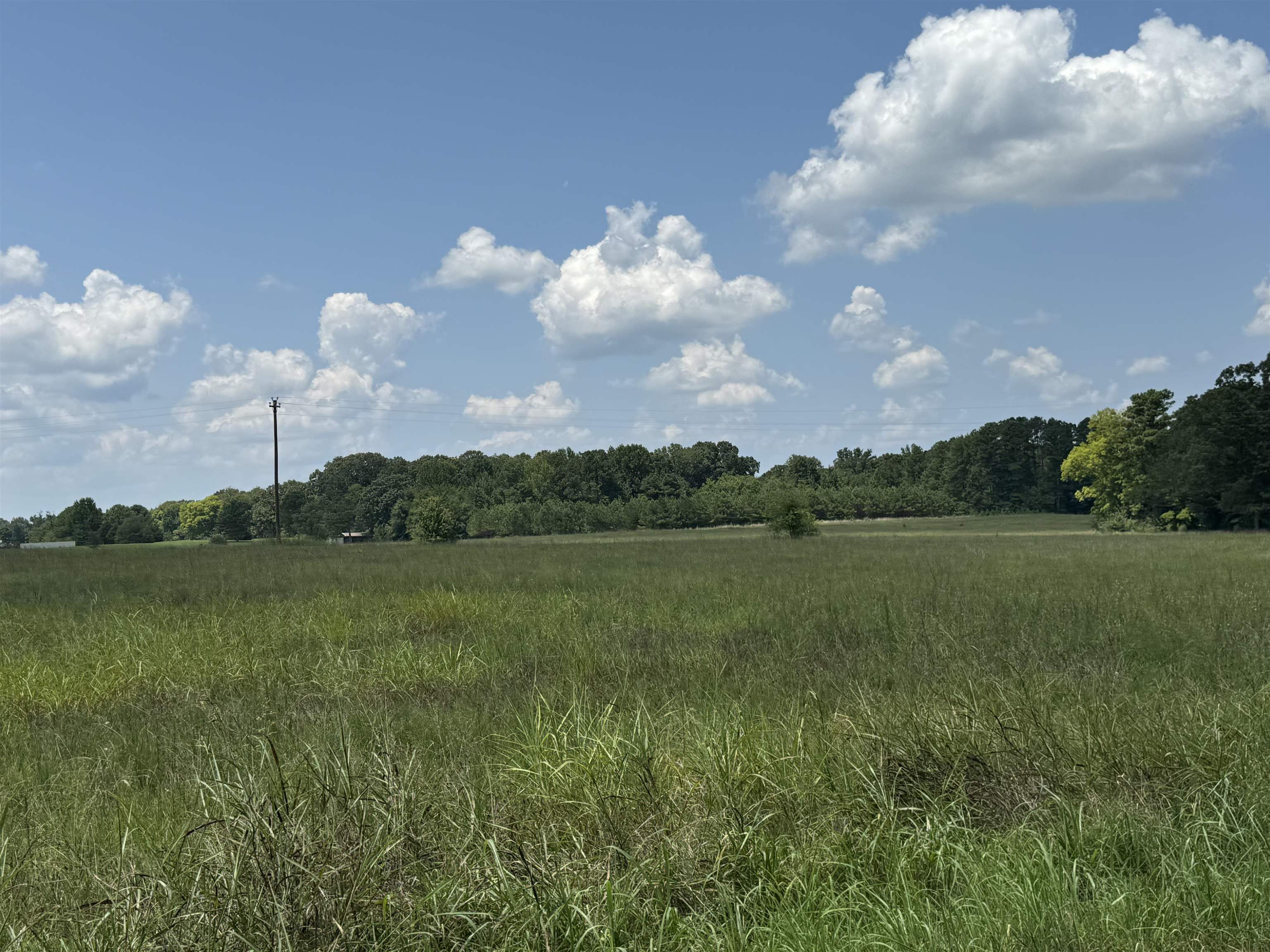 0 Dr Williams Road Michie, TN 38357 - Photo 18 of 24 a view of mountain with lake view