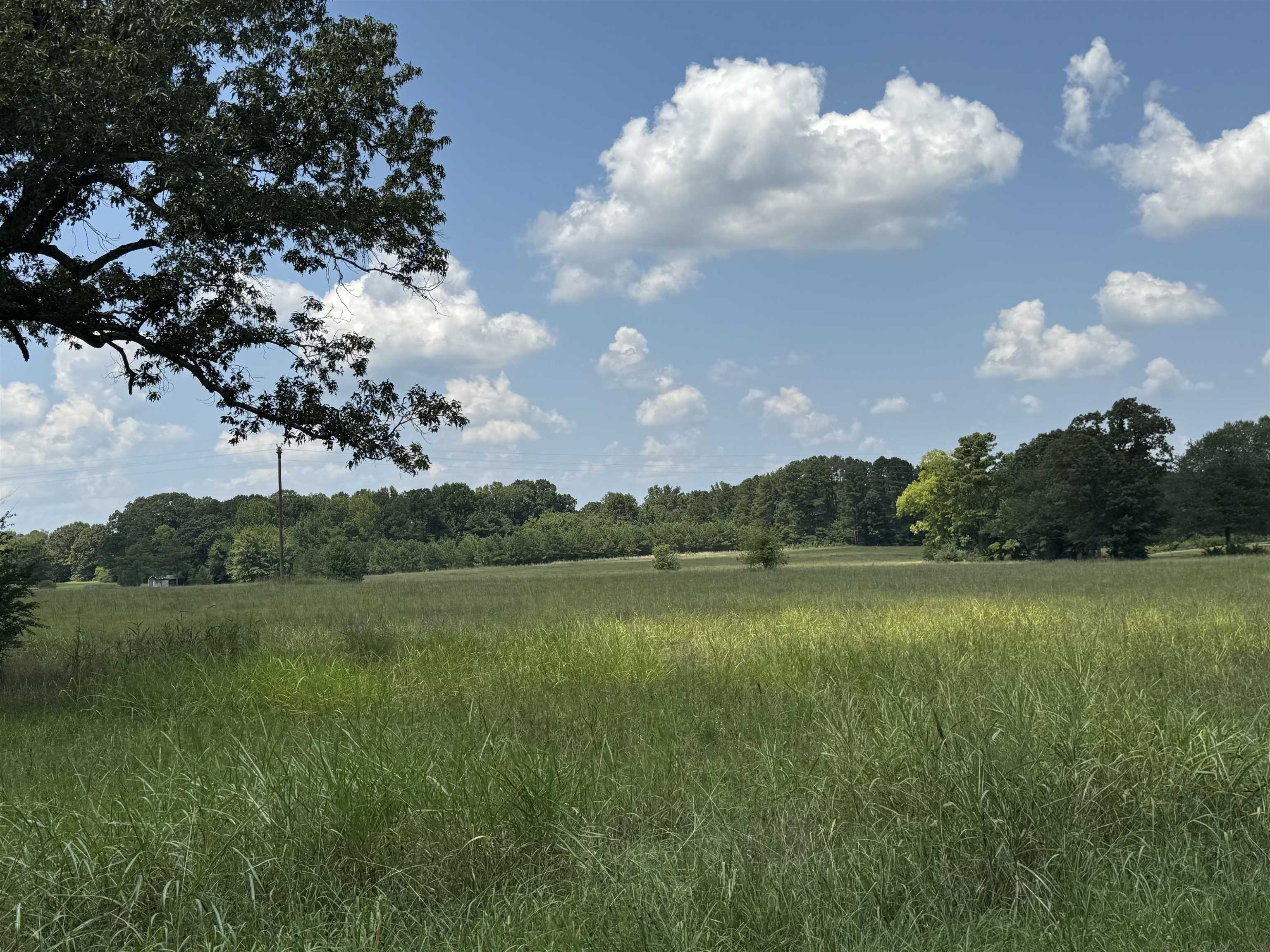 0 Dr Williams Road Michie, TN 38357 - Photo 19 of 24 a view of a lake and green valley