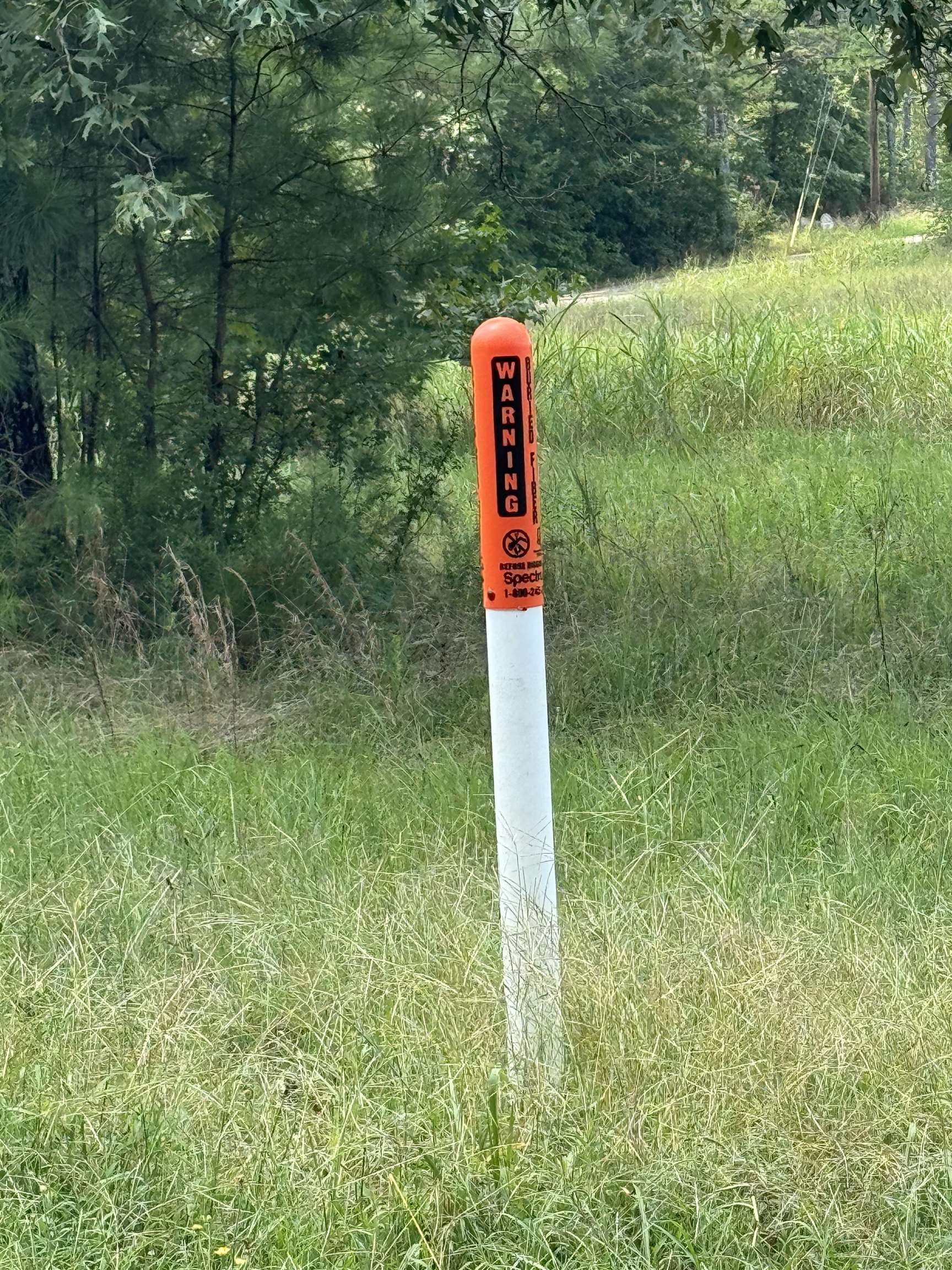 0 Dr Williams Road Michie, TN 38357 - Photo 20 of 24 a flag is sitting in the middle of a yard