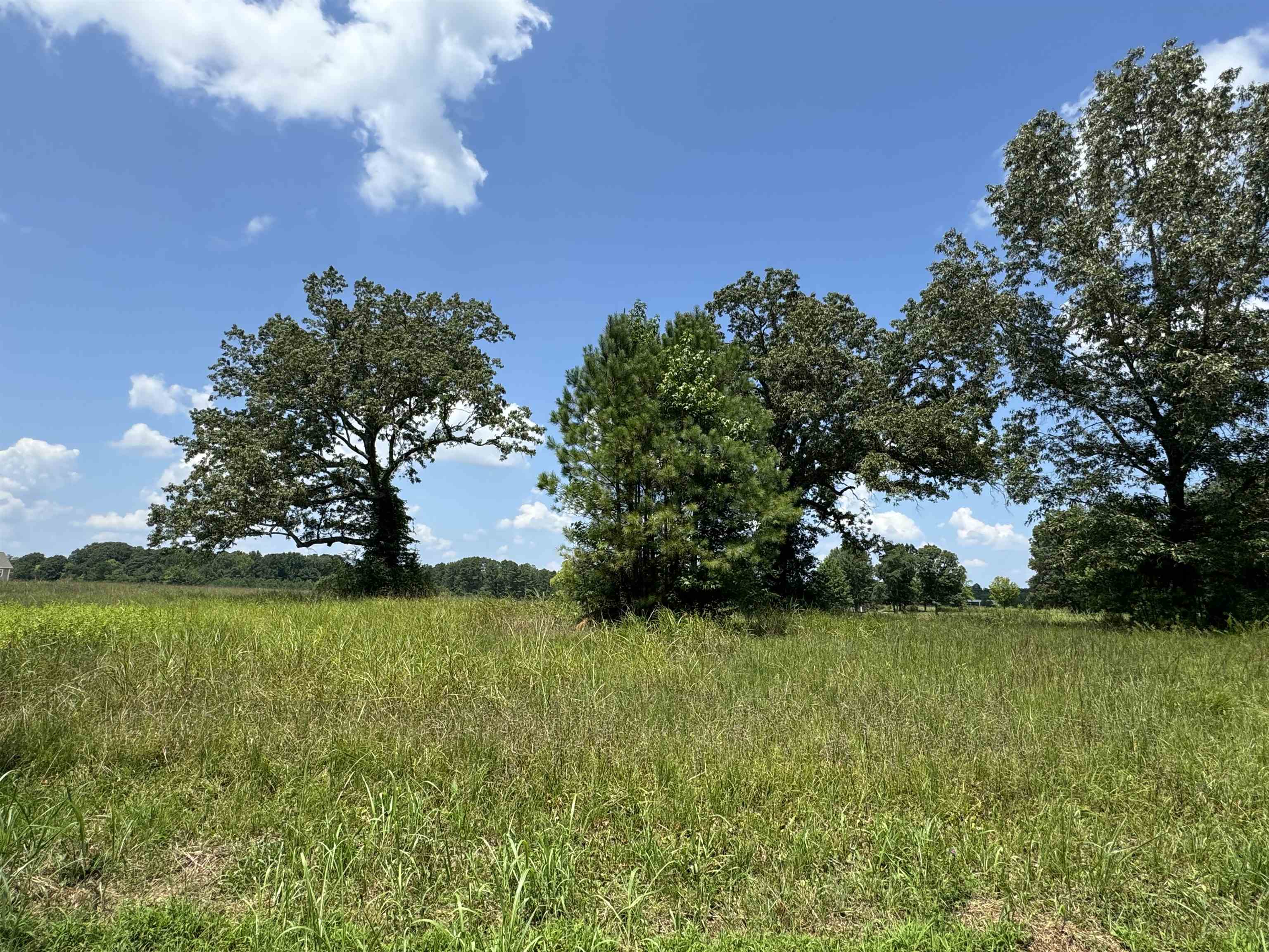 0 Dr Williams Road Michie, TN 38357 - Photo 23 of 24