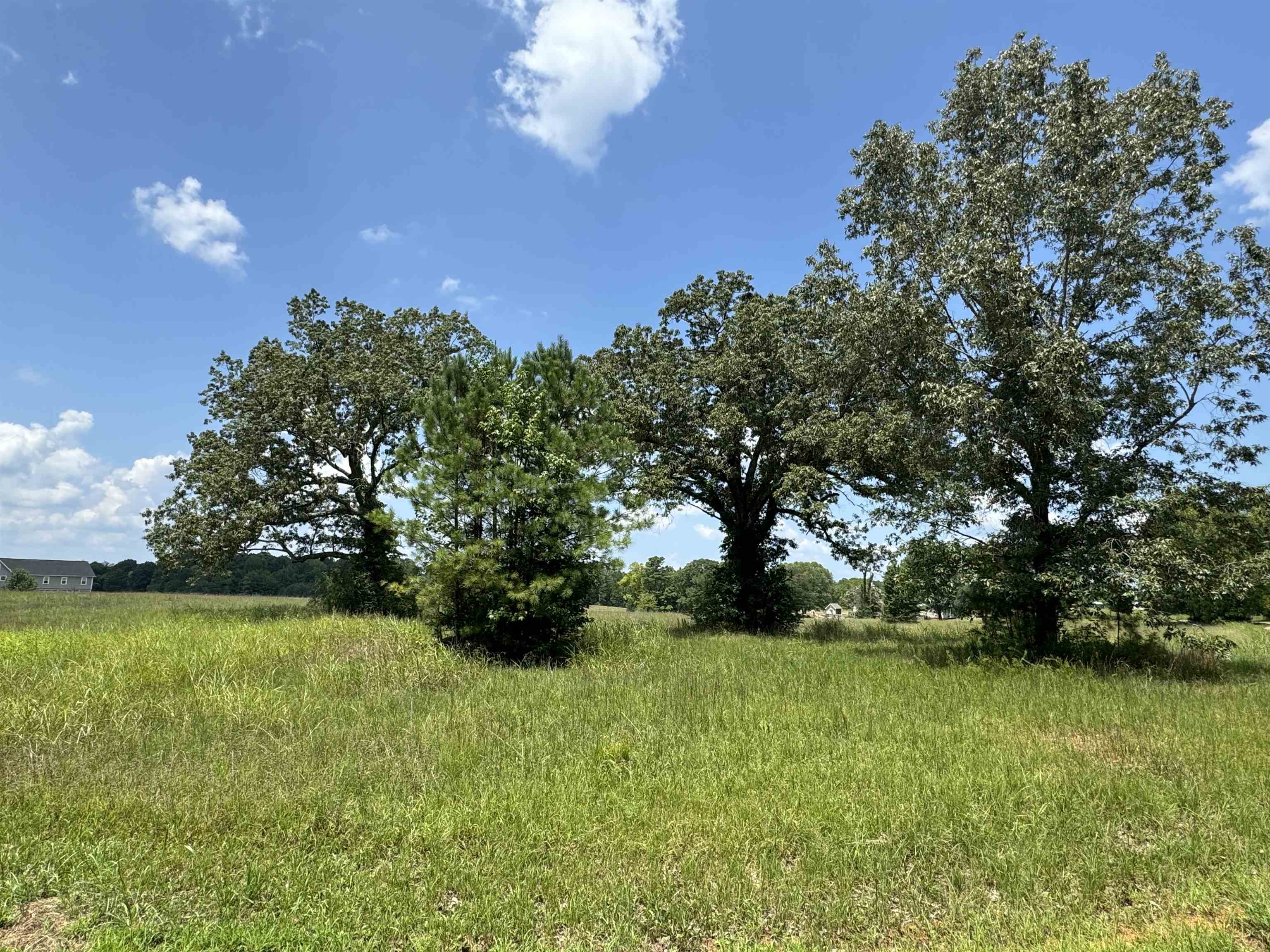 0 Dr Williams Road Michie, TN 38357 - Photo 24 of 24