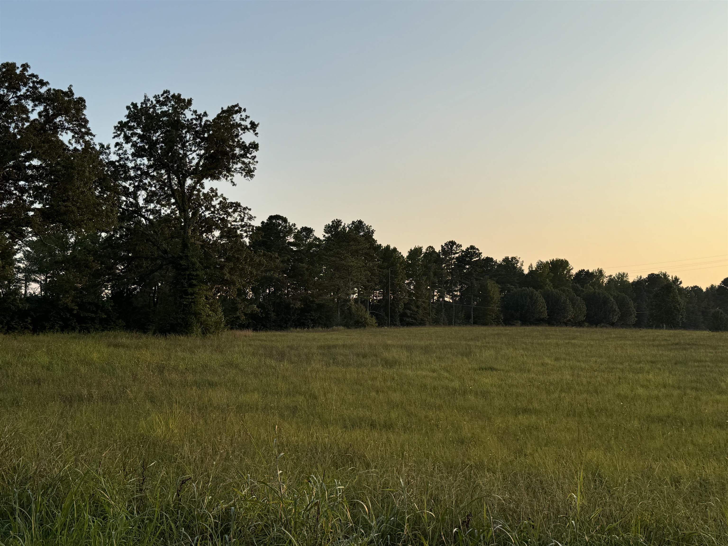 0 Dr Williams Road Michie, TN 38357 - Photo 4 of 24 a view of outdoor space and yard