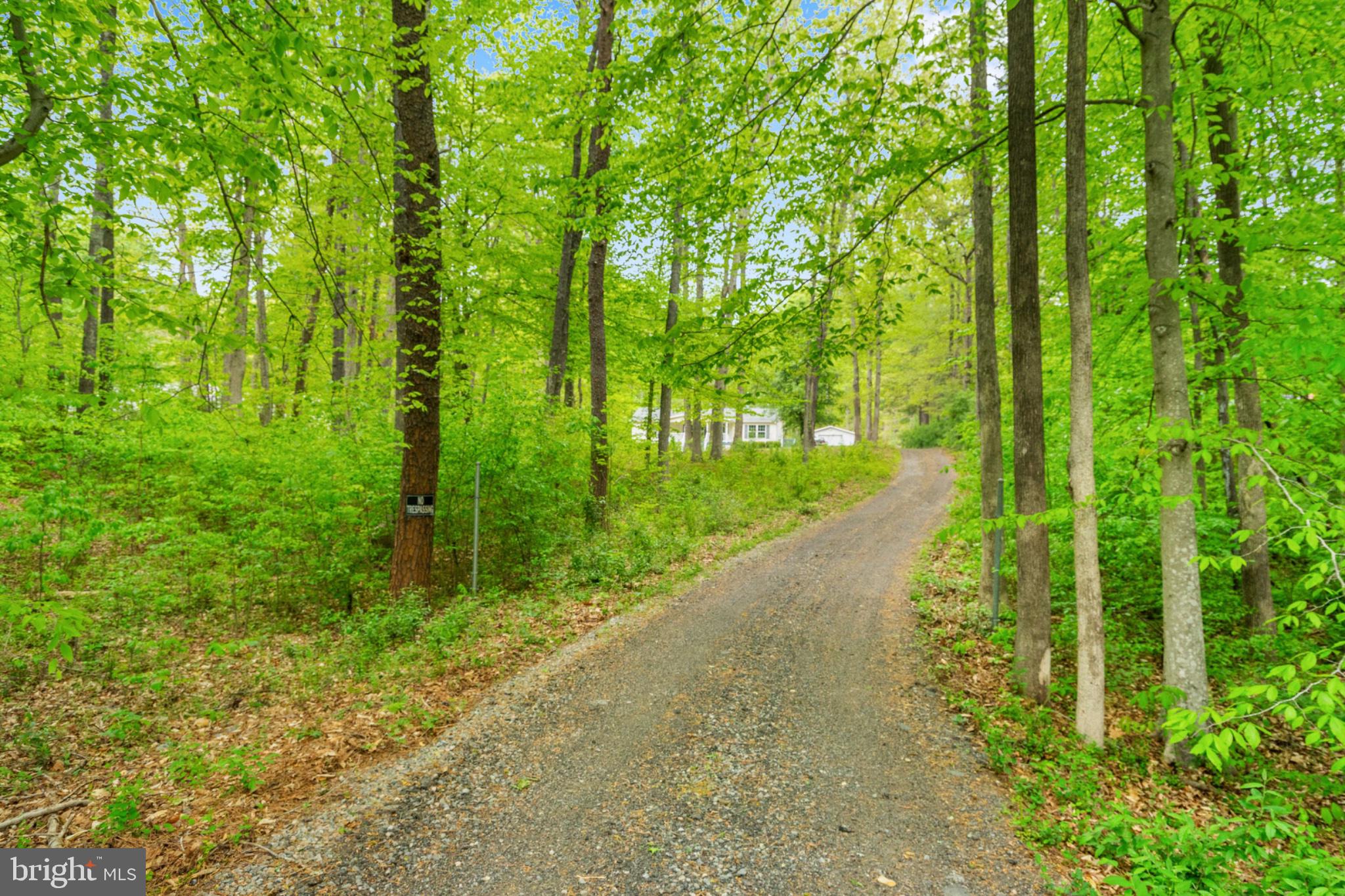 2319 Sizer Road Beaverdam, VA 23015 - Photo 59 of 61 a view of a road with a yard