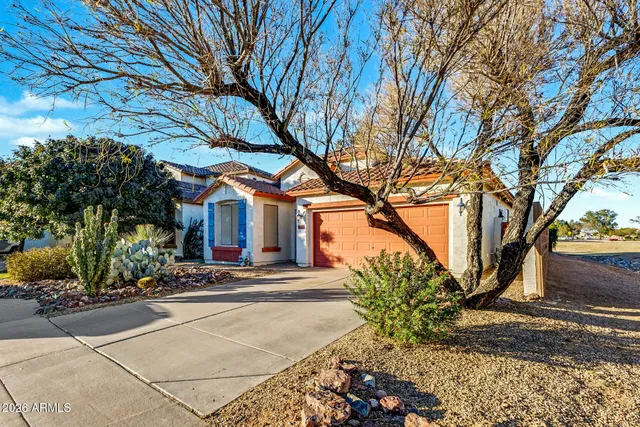 a view of a yard with plants and trees