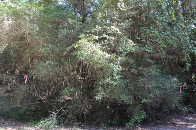 a view of lake and mountain