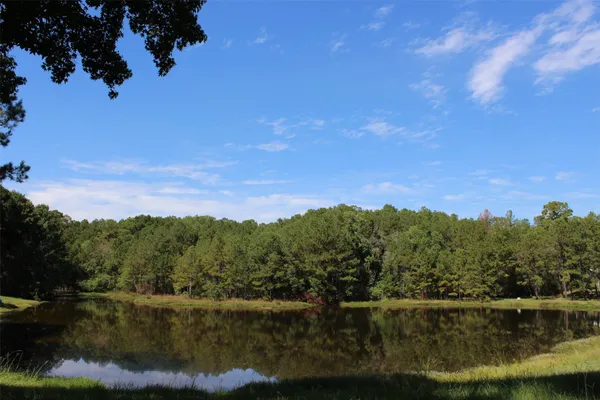 a view of lake with green space