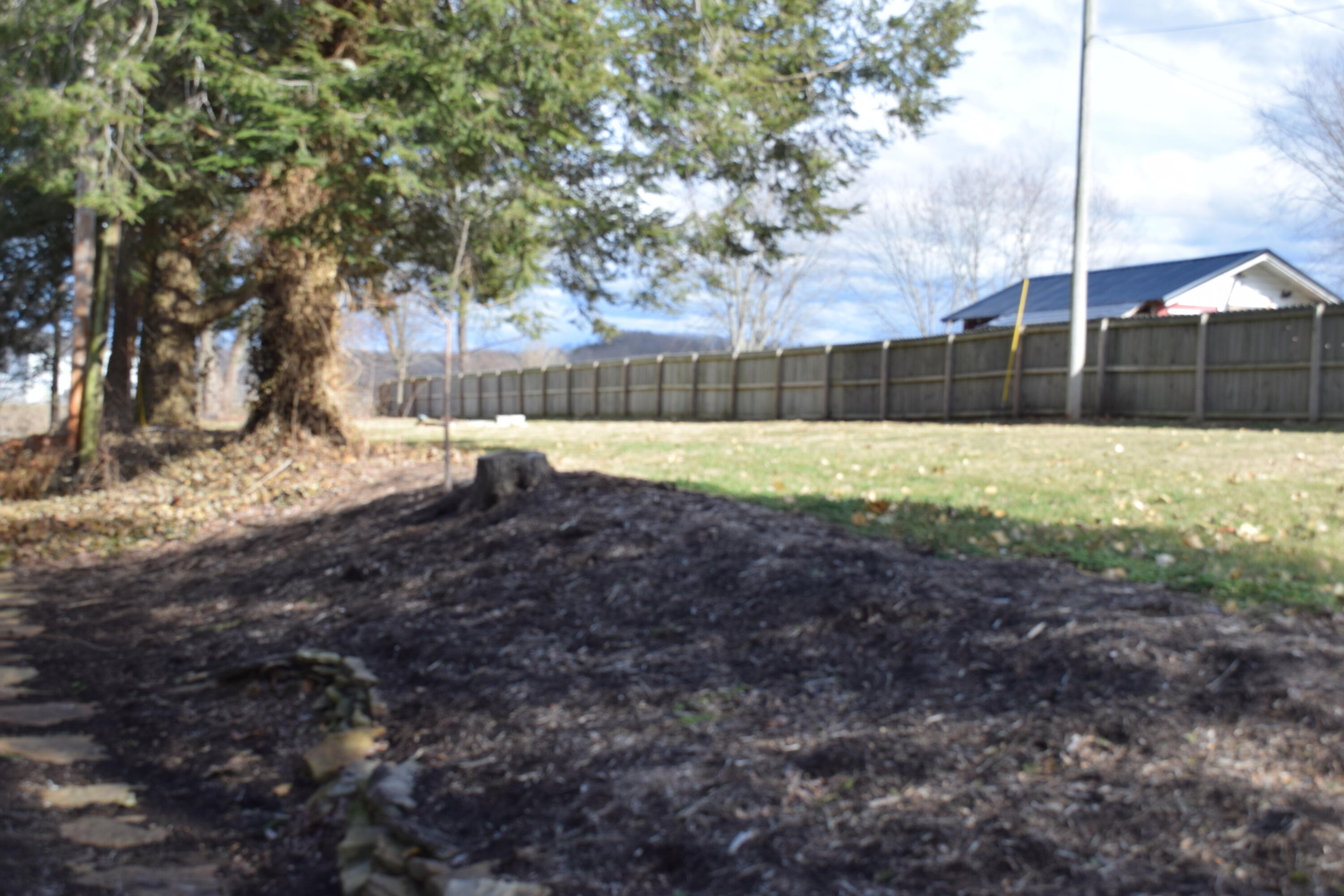 280 Bill Mays Road London, KY 40744 - Photo 24 of 69 DSC_0520