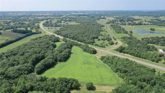 an aerial view of green landscape with trees and houses