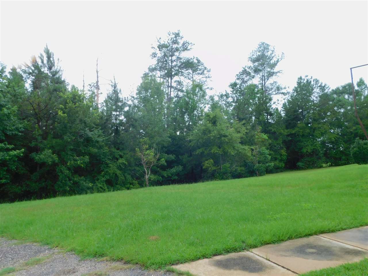 3156 Brooklyn Road Evergreen, AL 36401 - Photo 8 of 27 Gallery Image 8