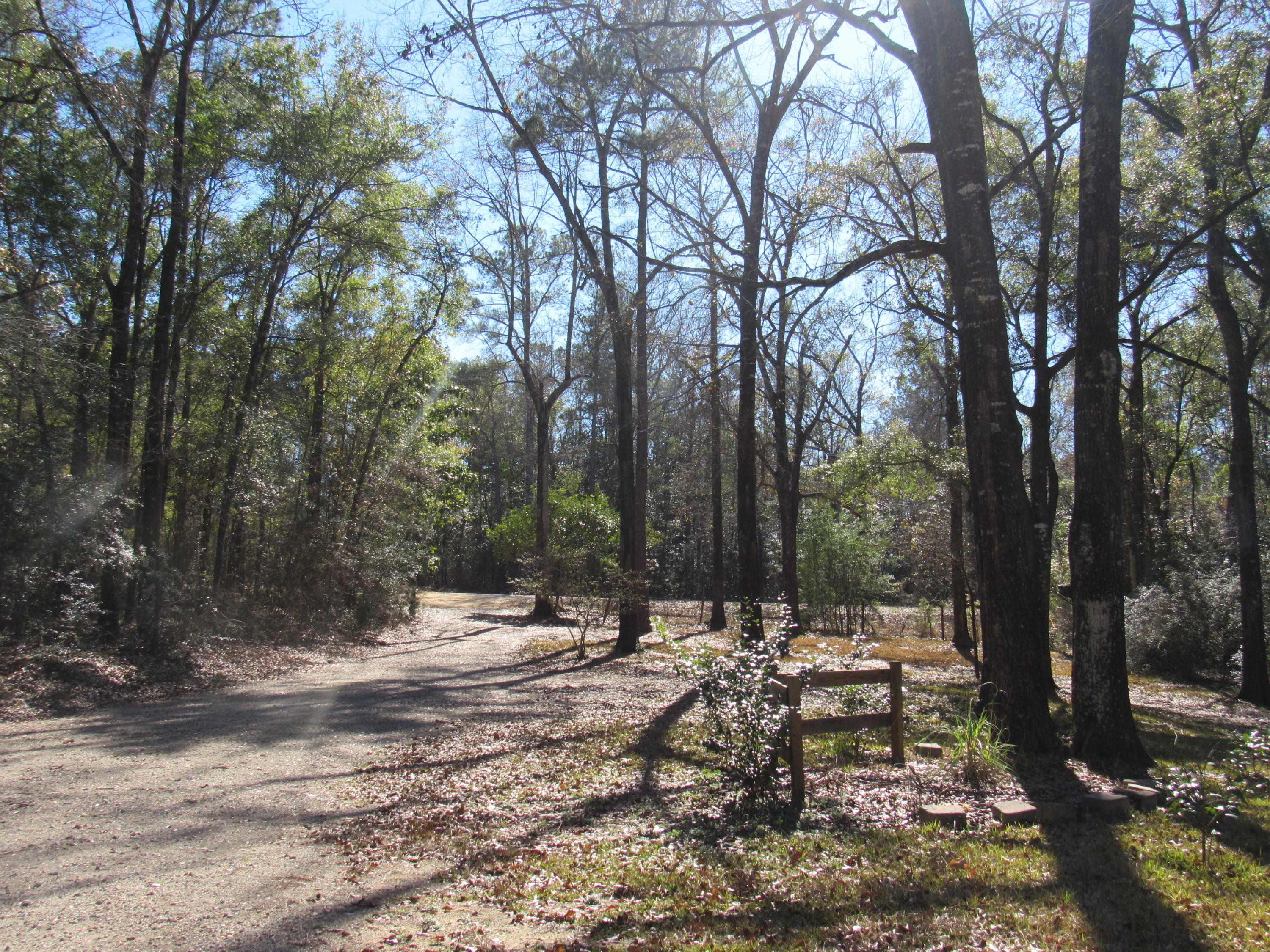 4736 Bob Sikes Road DeFuniak Springs, FL 32435 - Photo 13 of 16 a view of outdoor space with trees