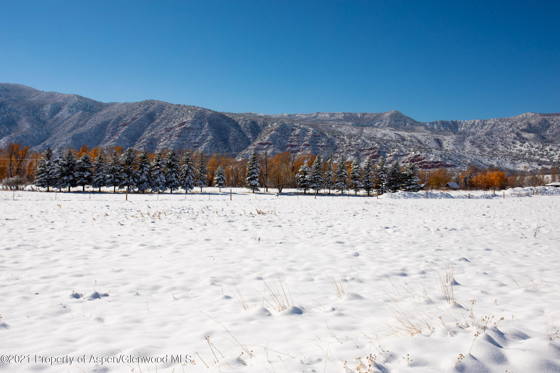 30 Lazy Marmot Lane Basalt, CO 81621 - Photo 10 of 10 a view of a dry yard covered with snow