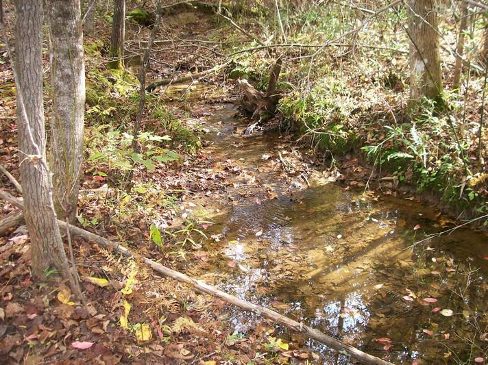 96-acres Myers Loop Road Pikeville, TN 37367 - Photo 12 of 70 100_1354