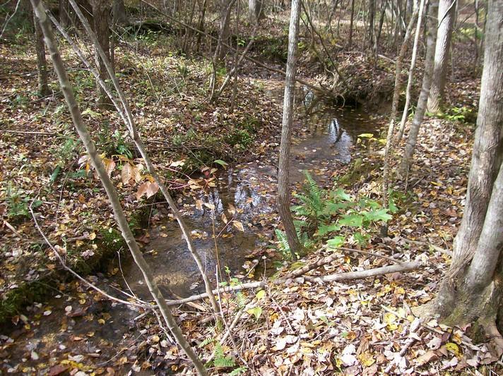 96-acres Myers Loop Road Pikeville, TN 37367 - Photo 17 of 70 100_1359