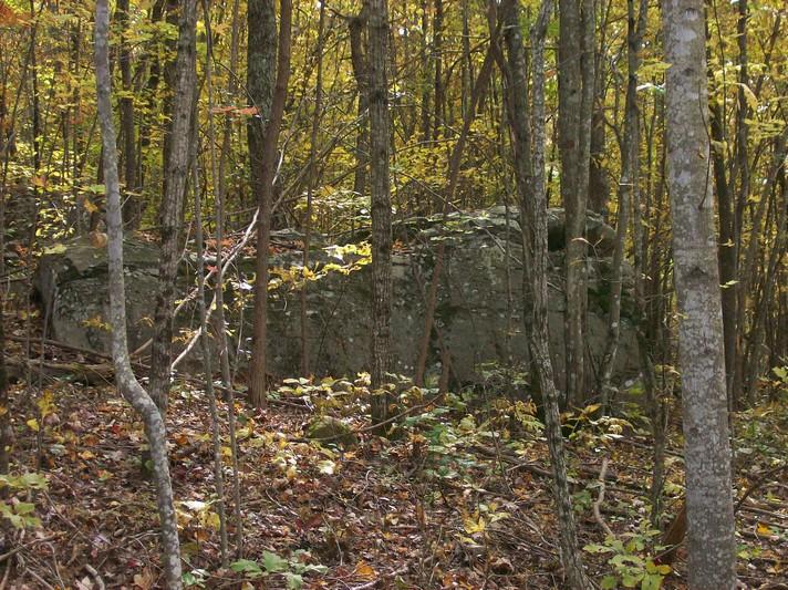 96-acres Myers Loop Road Pikeville, TN 37367 - Photo 29 of 70 100_1371