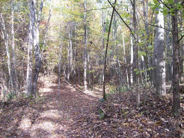 96-acres Myers Loop Road Pikeville, TN 37367 - Photo 51 of 70 100_1396