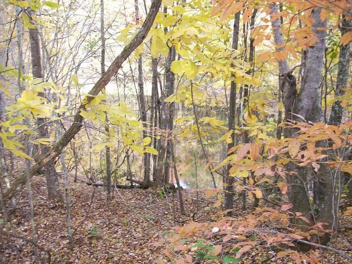 96-acres Myers Loop Road Pikeville, TN 37367 - Photo 65 of 70 100_1410