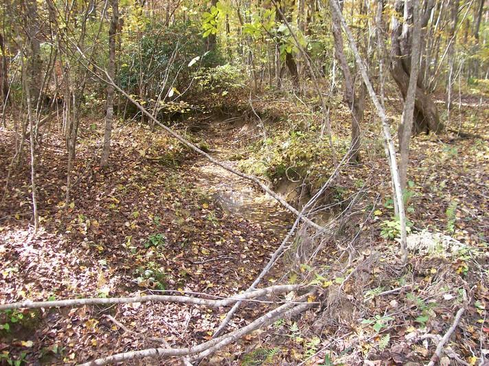 96-acres Myers Loop Road Pikeville, TN 37367 - Photo 10 of 70 100_1352