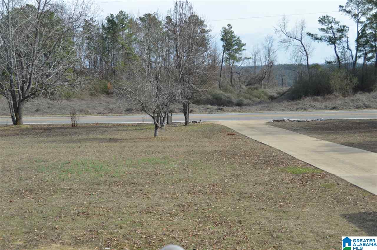 1307 Campbellville Road Empire, AL 35063 - Photo 35 of 37