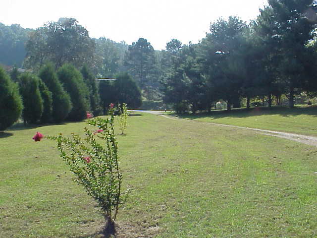 782 North Beaumont Road Ringgold, GA 30736 - Photo 4 of 4 Additional Photo