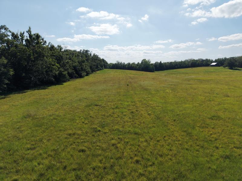 Norman Road Corinth, MS 38834 - Photo 5 of 12 Gallery Image 5