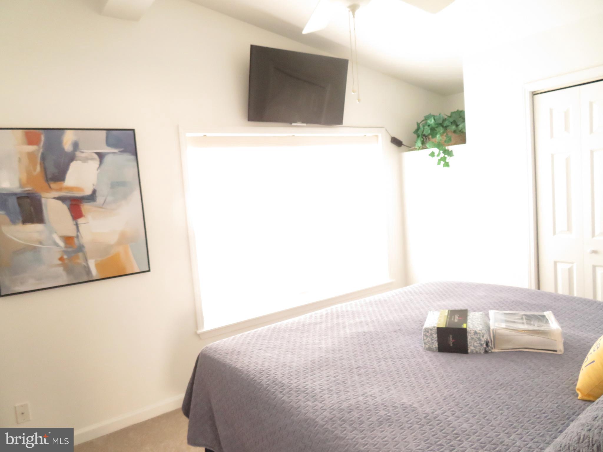 134 Skipjack Circle Berlin, MD 21811 - Photo 19 of 83 Primary w/plant or tv shelf