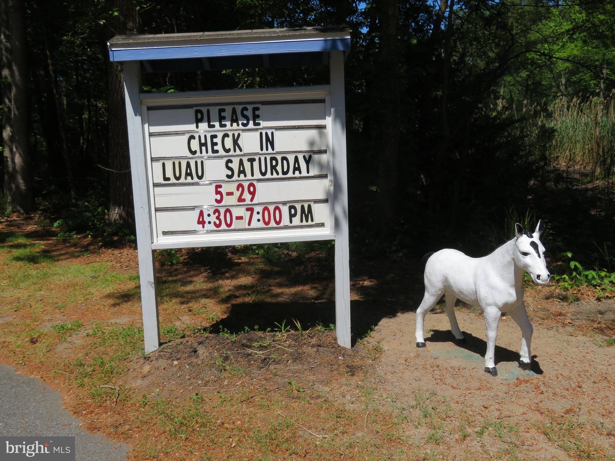 134 Skipjack Circle Berlin, MD 21811 - Photo 66 of 83