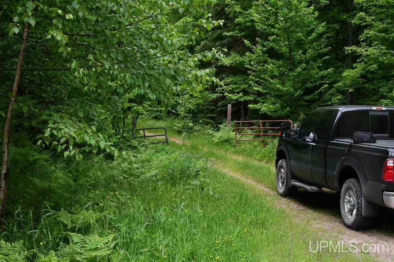Tbd Mud Lake Road Lake Linden, MI 49945 - Photo 6 of 28