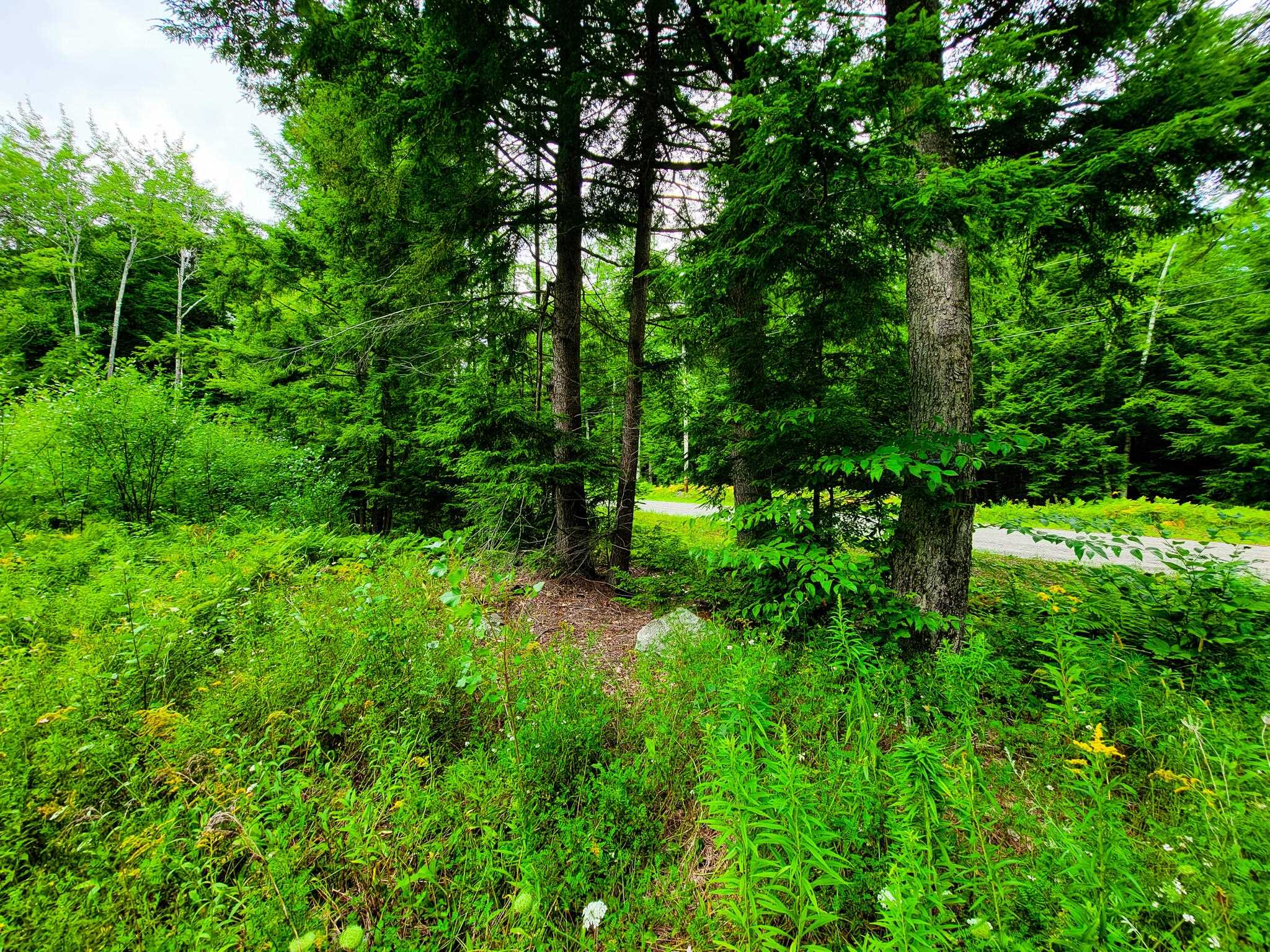 261 Porter Road Plainfield, NH 03781 - Photo 33 of 39
