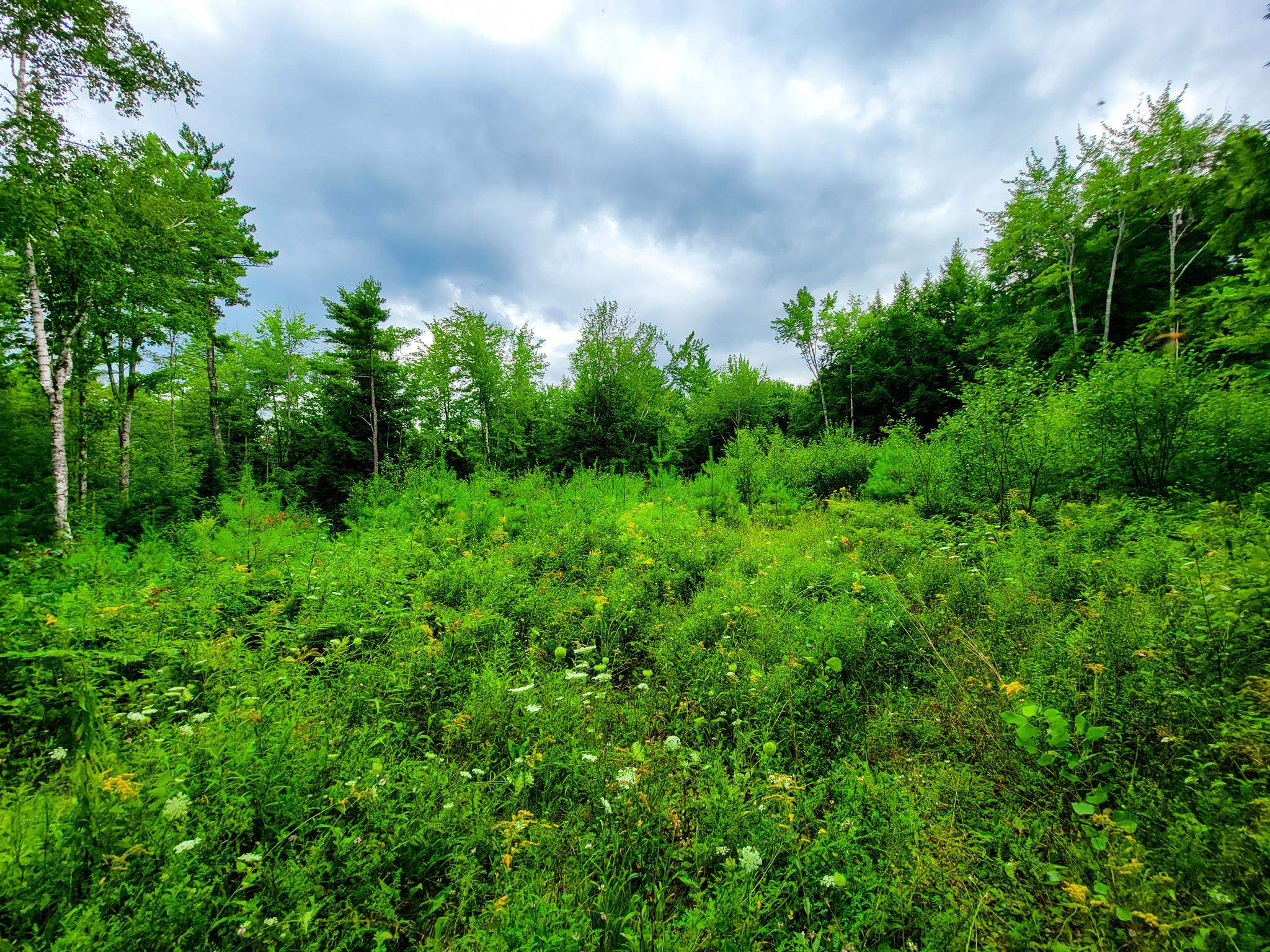 261 Porter Road Plainfield, NH 03781 - Photo 10 of 39