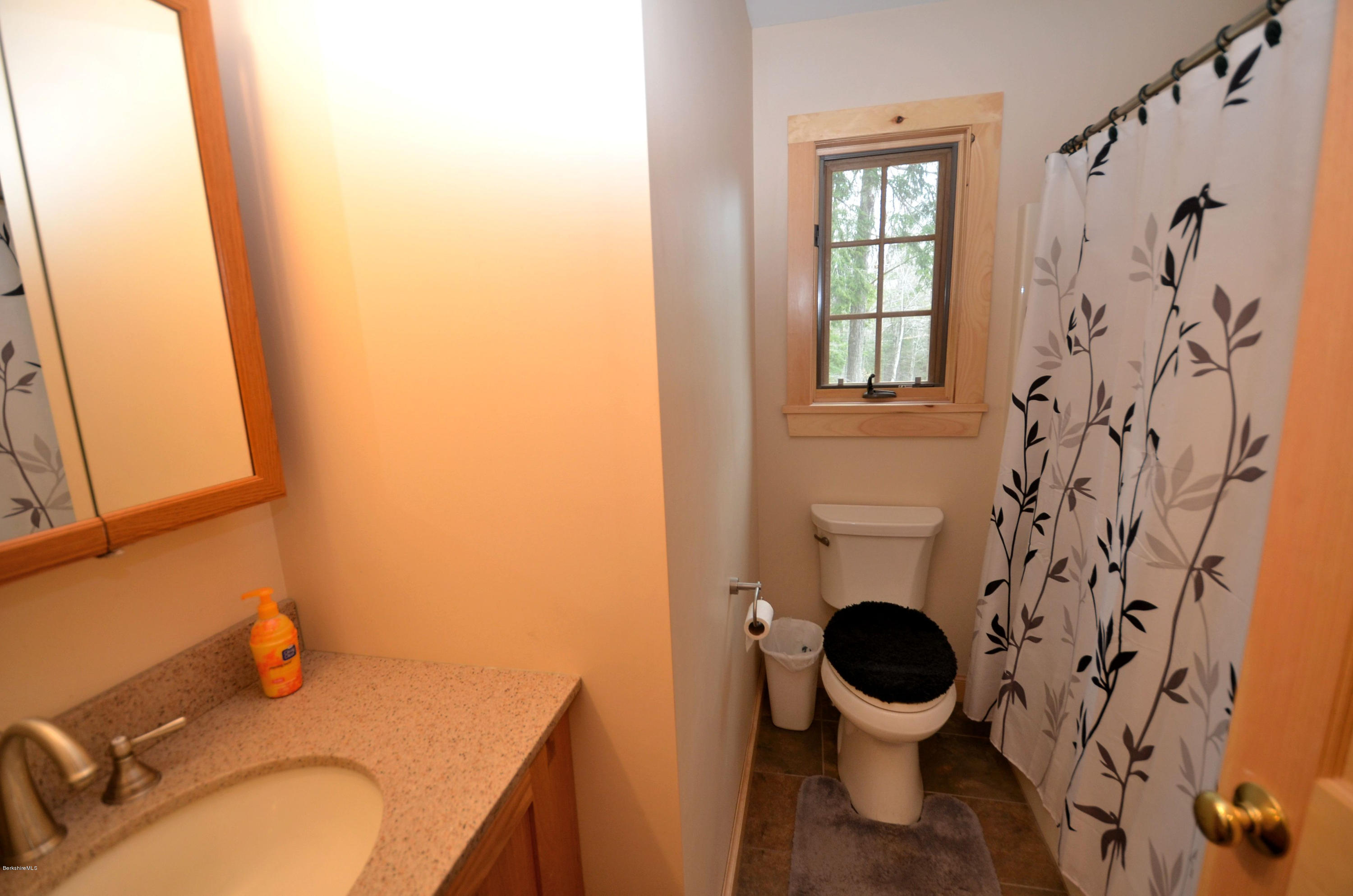 156 Old Pond Road Becket, MA 01223 - Photo 8 of 28 a bathroom with a sink and a toilet