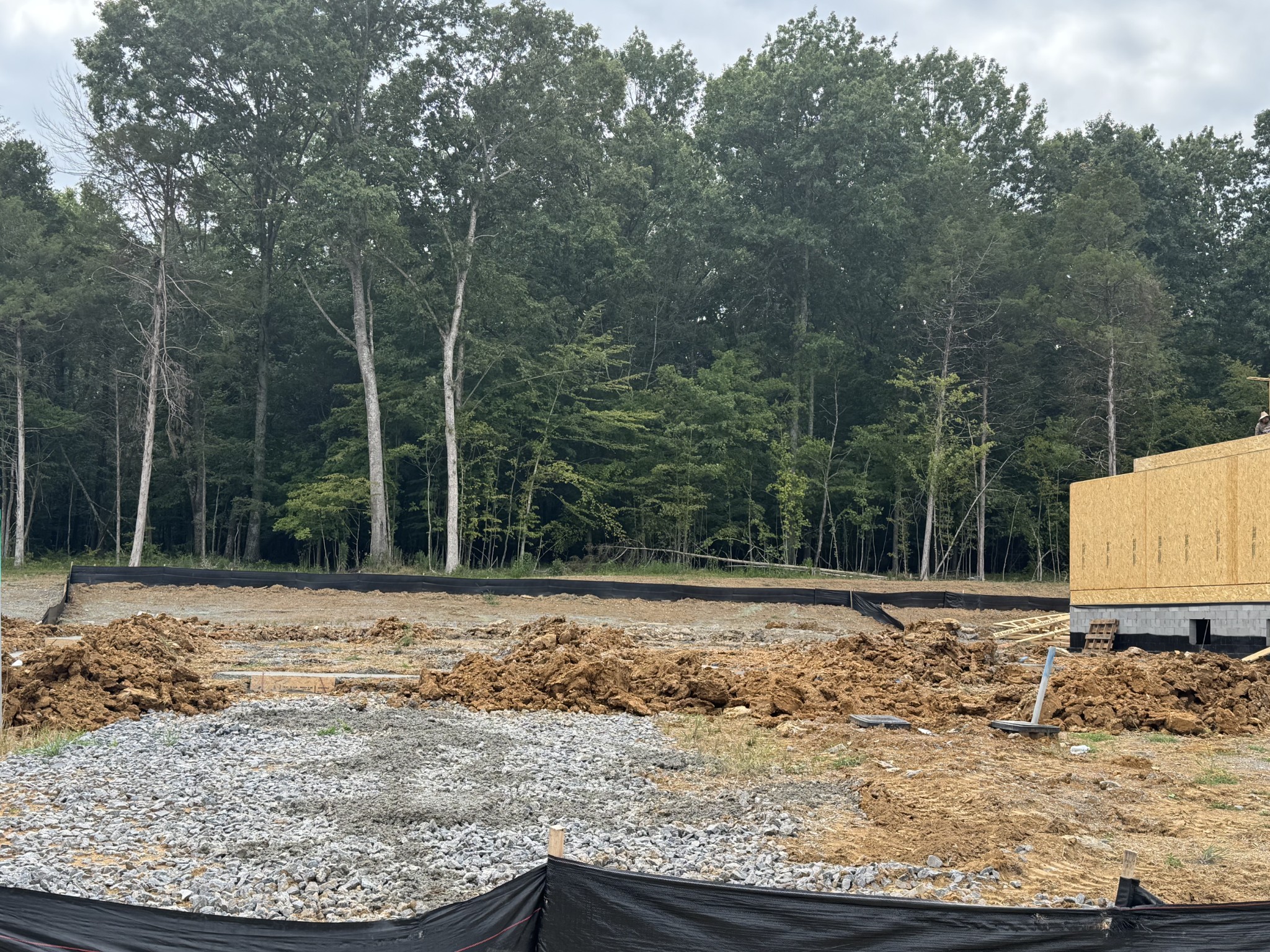 6009 Elliott Court Arrington, TN 37014 - Photo 2 of 5 a view of a yard with mountain