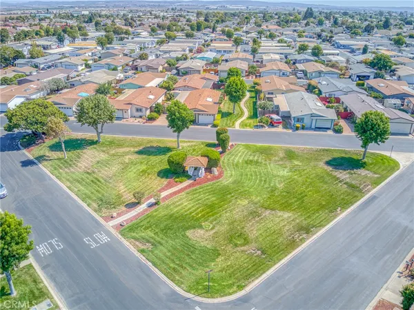 a view of a swimming pool with a garden and plants