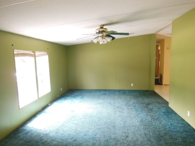 10044 Blue Waters Road Tallahassee, FL 32305 - Photo 19 of 25 Gallery Image 19