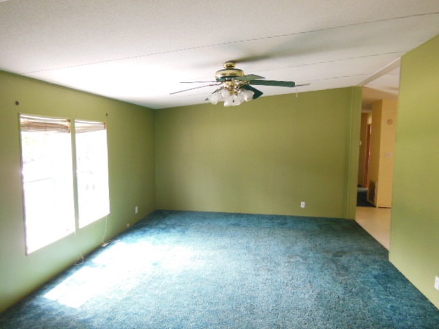 10044 Blue Waters Road Tallahassee, FL 32305 - Photo 21 of 25 Gallery Image 21