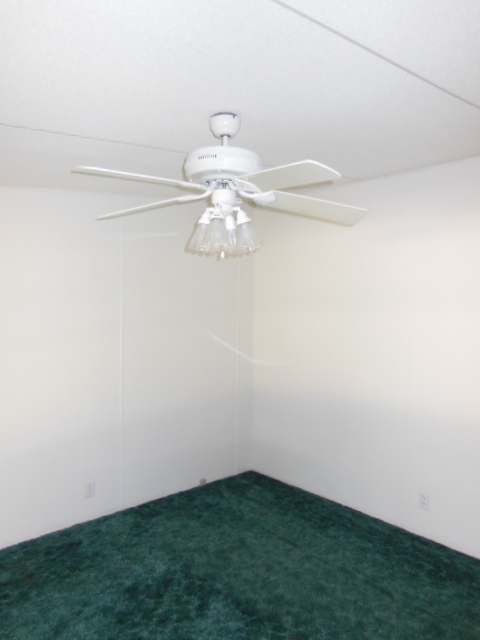 10044 Blue Waters Road Tallahassee, FL 32305 - Photo 3 of 25 Gallery Image 3
