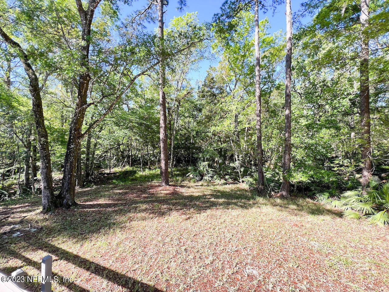 3589 Red Cloud Trail St. Augustine, FL 32086 - Photo 6 of 62 06 Red Cloud Tr