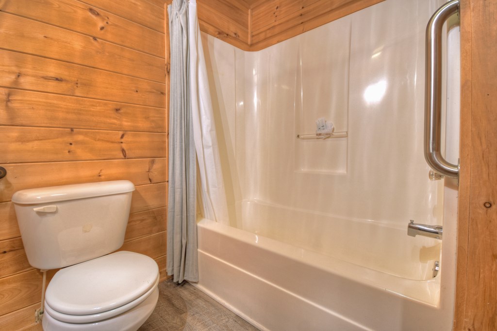 353 Sunrise Road Blue Ridge, GA 30513 - Photo 58 of 64 Main house basement bathroom