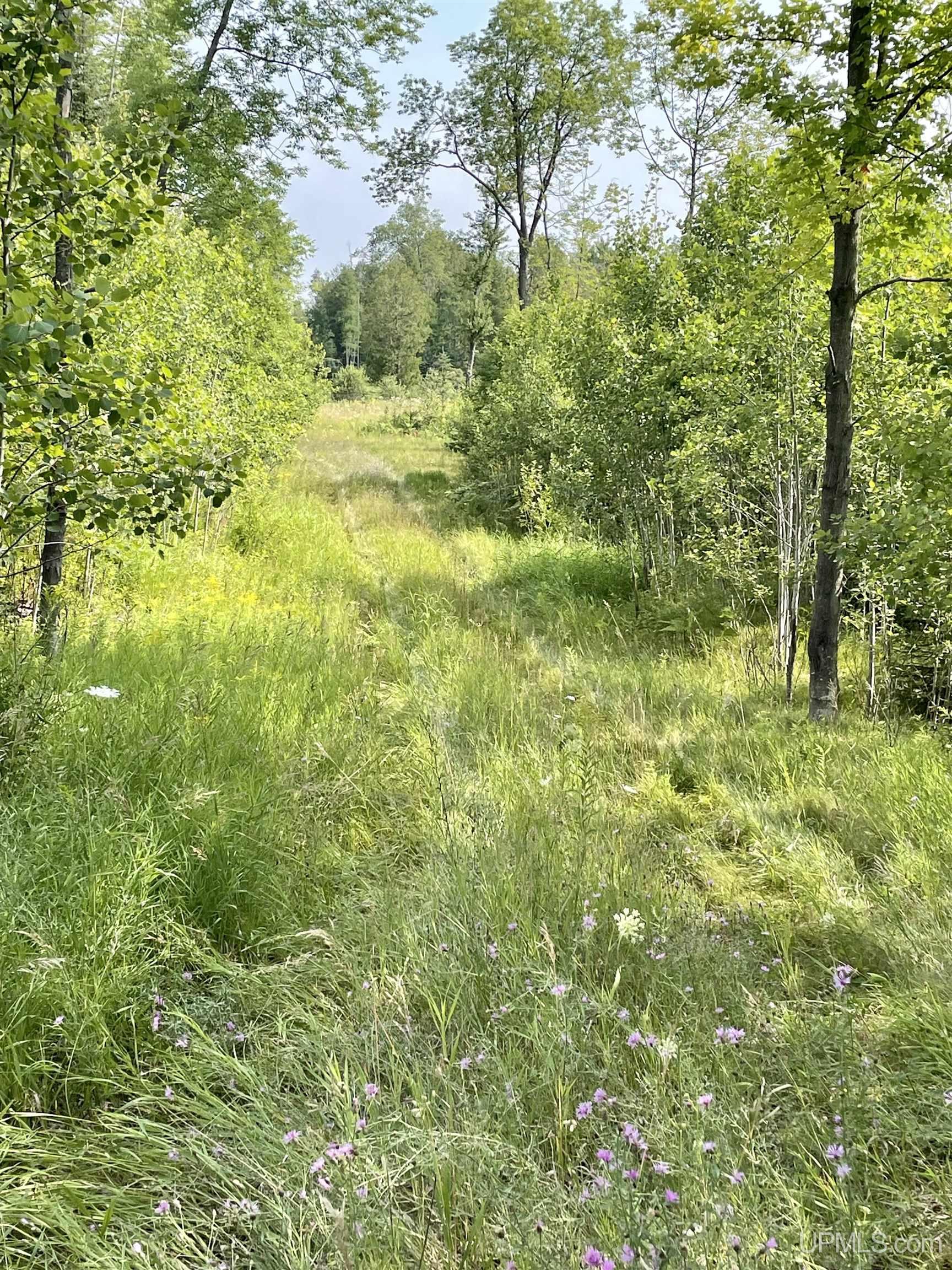 400 Rd Spalding Mi 49886 Road Powers, MI 49874 - Photo 18 of 24 Gallery Image 18