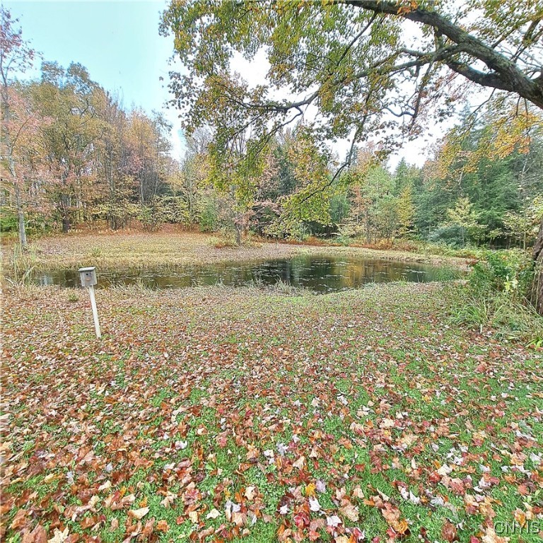 819 Miller Road West Florence, NY 13483 - Photo 12 of 47