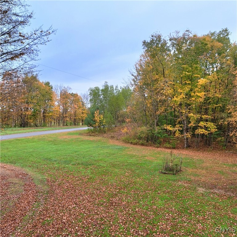 819 Miller Road West Florence, NY 13483 - Photo 44 of 47