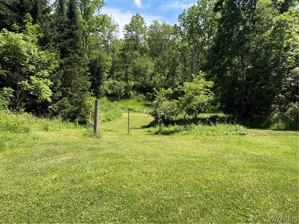 3489 Creek Road Porter, NY 14174 - Photo 31 of 31