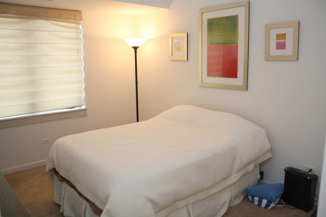 4848 North Sheridan Road, Unit 301 Chicago, IL 60640 - Photo 7 of 8