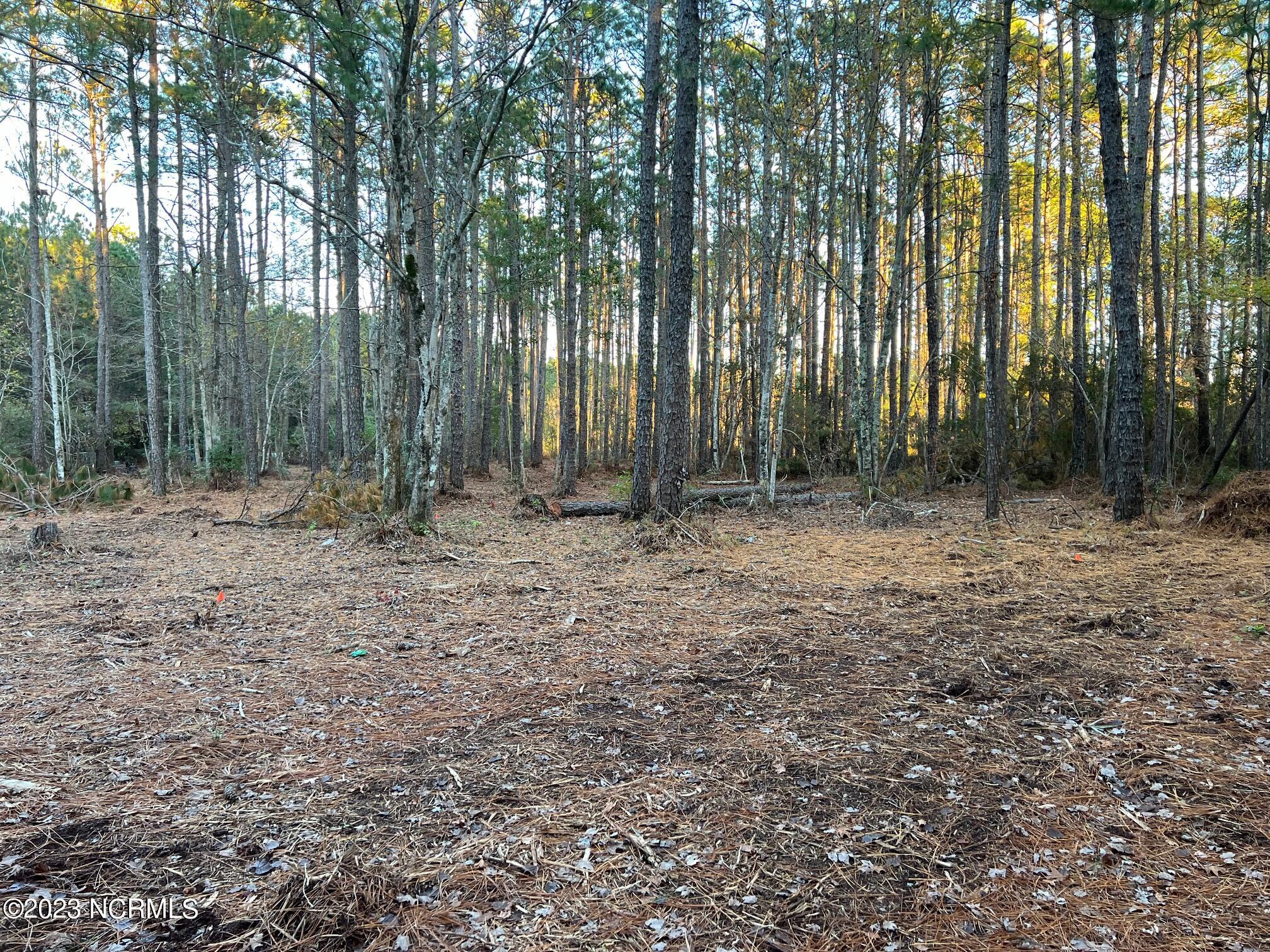 530 Firetower Road Beaufort, NC 28516 - Photo 1 of 10 530 Firetower Rd