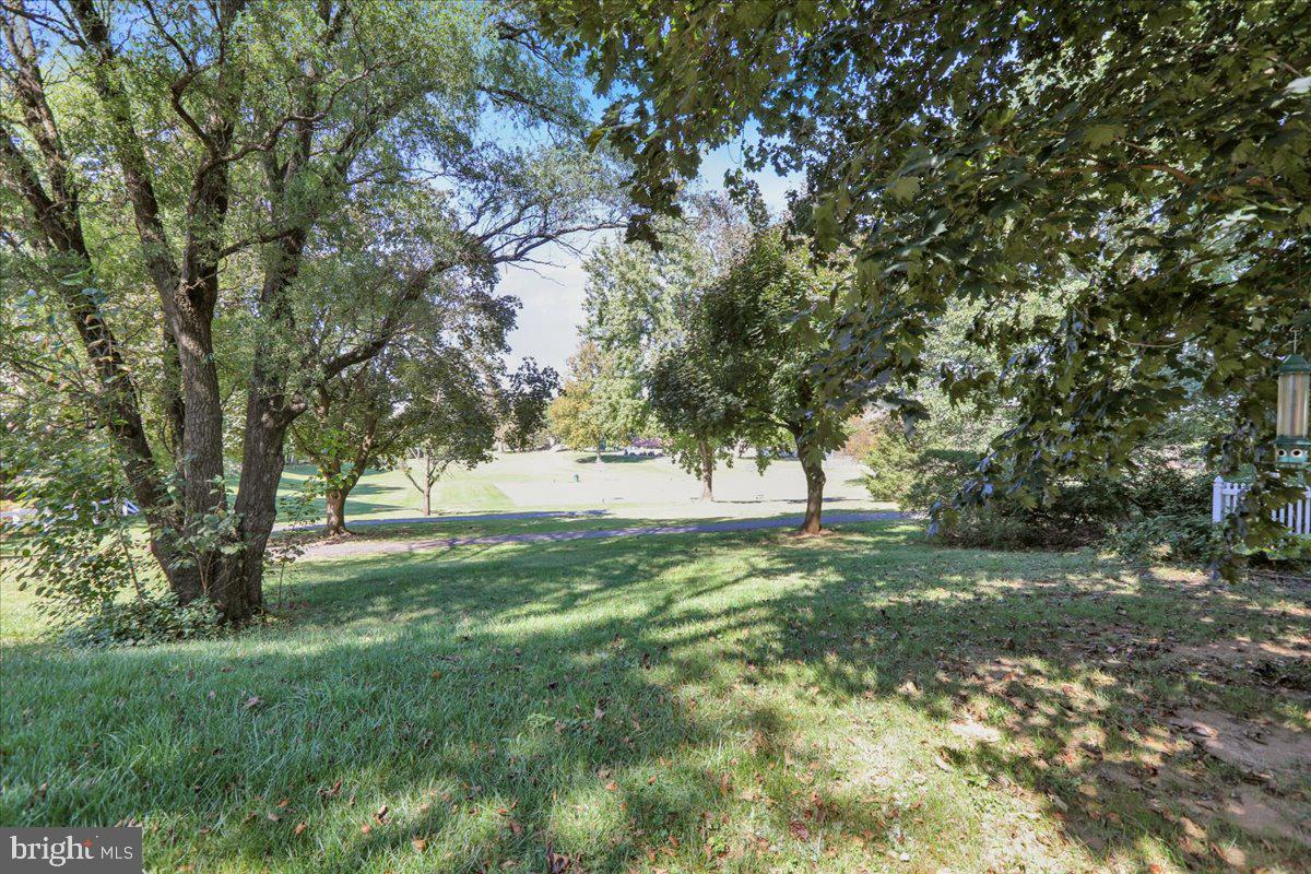 802 Apple Drive Reading, PA 19610 - Photo 7 of 47 a view of backyard with tree