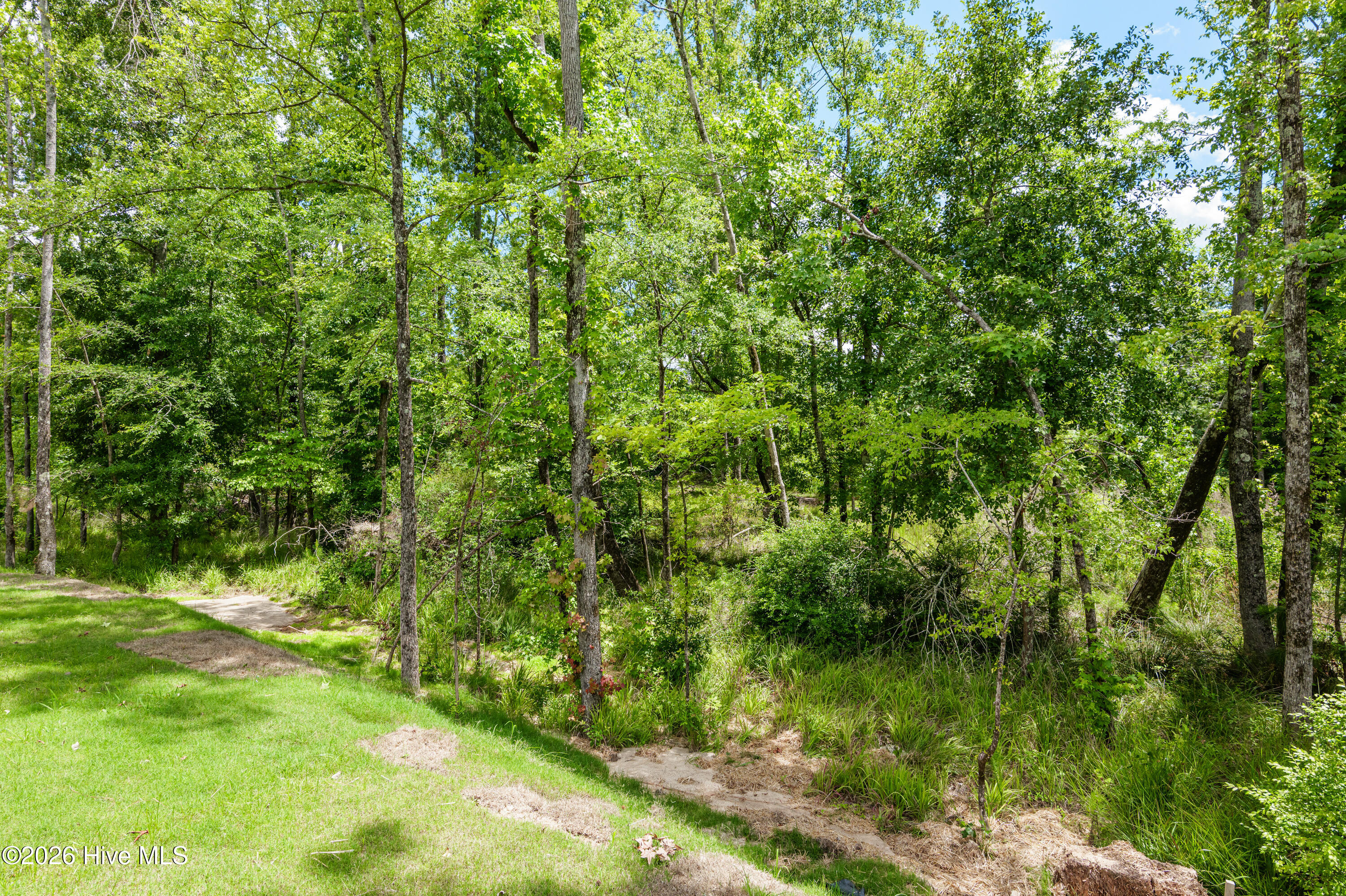 687 Ronaldsay Road Grovetown, GA 30813 - Photo 51 of 55 Backyard/Greenspace