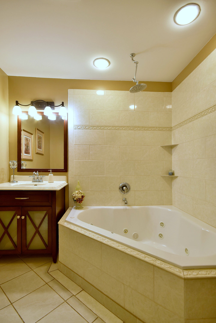 16989 East Ritchie Road Rochelle, IL 61068 - Photo 24 of 81 a bathroom with a bathtub and a sink