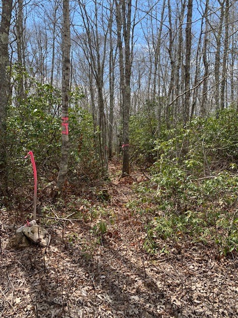 71 Amy Hart Path Little Compton, RI 02837 - Photo 1 of 3