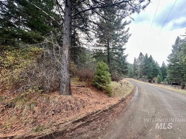 $35,000 | Tbd Bouffard Flat Road, White Bird, ID 83554