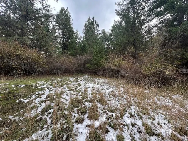 $35,000 | Tbd Dairy Mountain Road, White Bird, ID 83554