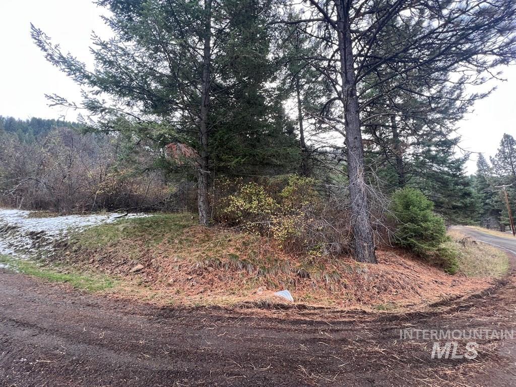 Tbd Bouffard Flat Road White Bird, ID 83554 - Photo 5 of 5